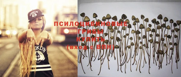 дурь Армянск