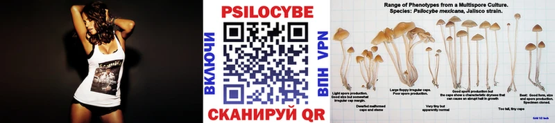 blacksprut   Сосновый Бор  Псилоцибиновые грибы MAGIC MUSHROOMS 